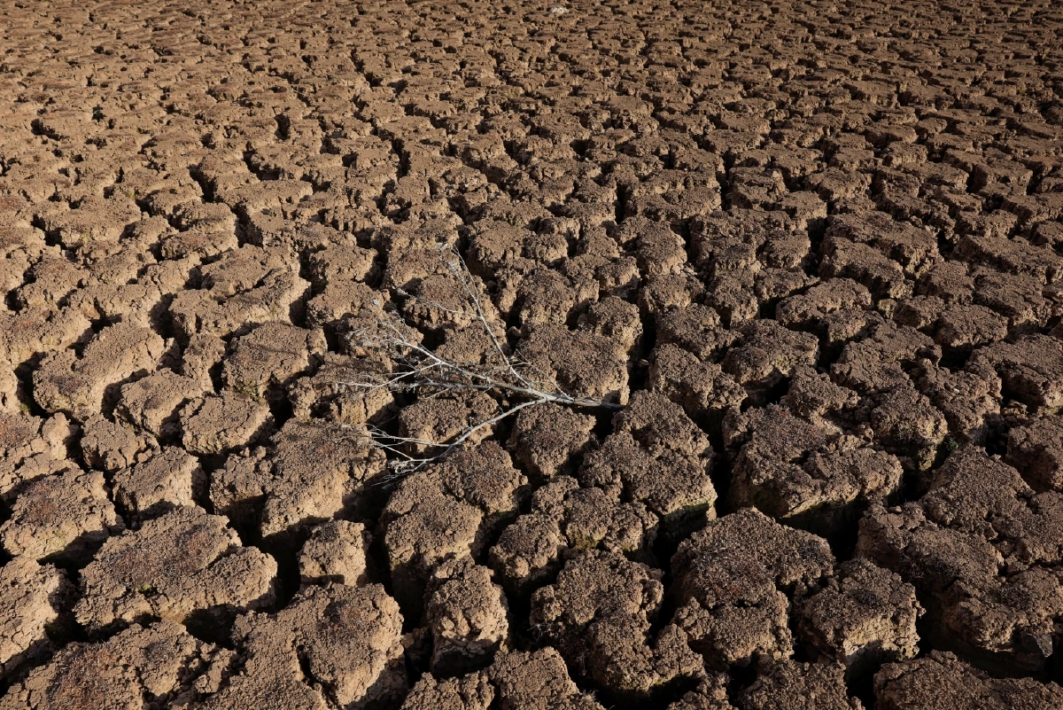 ปี2025 ขึ้นแท่น 'ร้อนสุด' อันดับ 2 ของประวัติศาสตร์เท่าที่เคยบันทึก