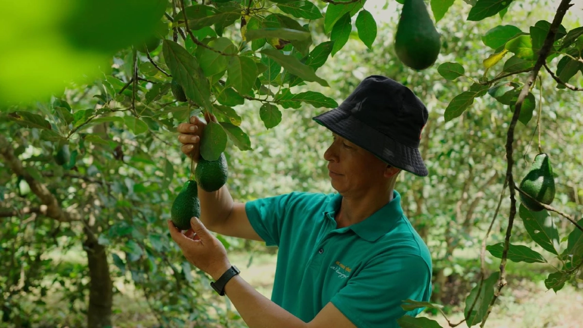เร่งพัฒนาโลจิสติกส์บูม ‘สินค้าเกษตรไทย’ ตรงจากสวนถึงผู้บริโภค หนุนเศรษฐกิจ