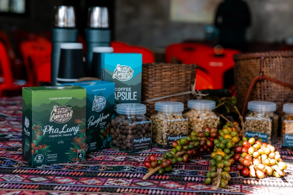 ส่องโมเดลกาแฟยั่งยืน ‘ปางขอน–ผาลั้ง’ จากดอยสู่เมือง สร้างอาชีพให้คนรุ่นใหม่