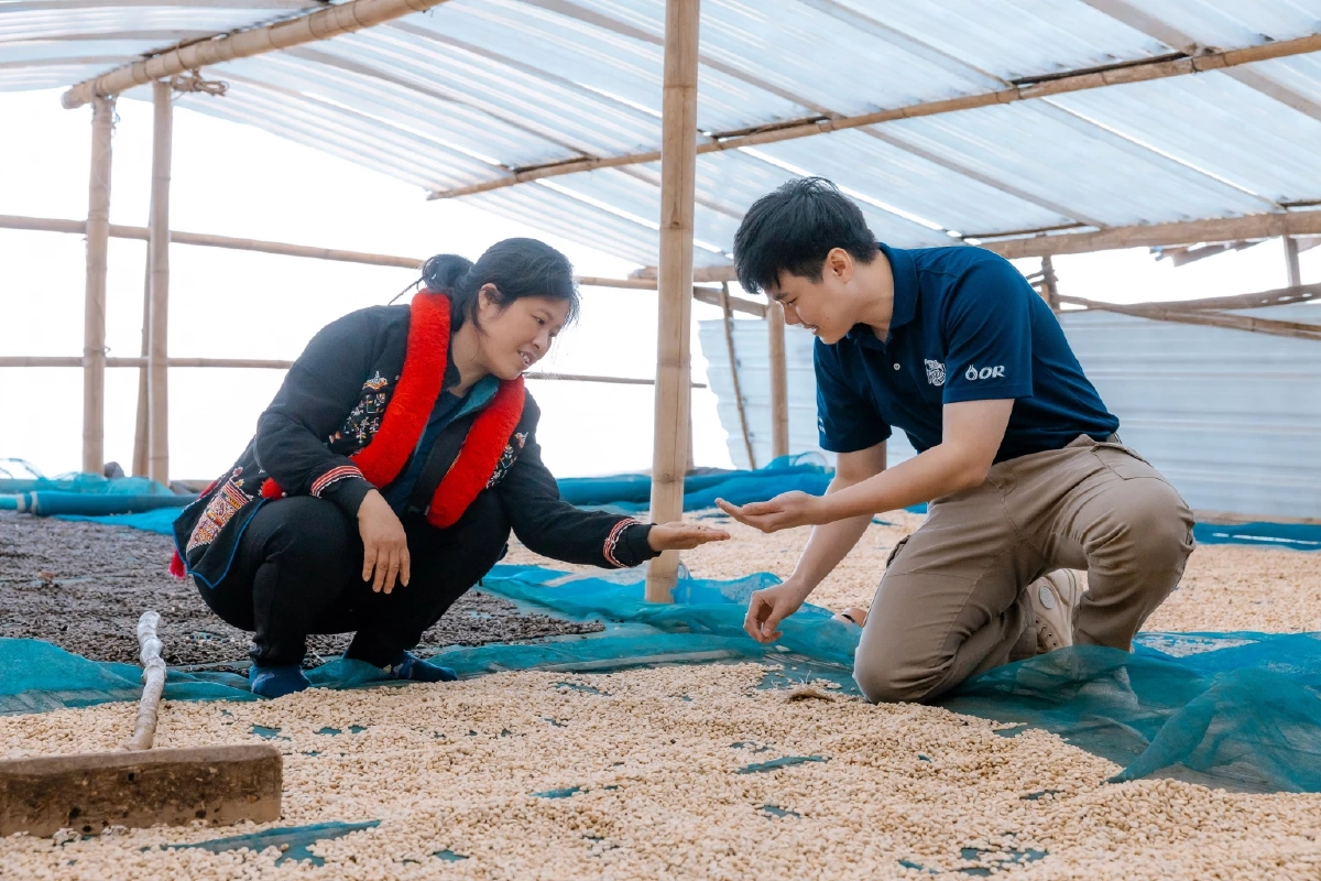 ส่องโมเดลกาแฟยั่งยืน ‘ปางขอน–ผาลั้ง’ จากดอยสู่เมือง สร้างอาชีพให้คนรุ่นใหม่