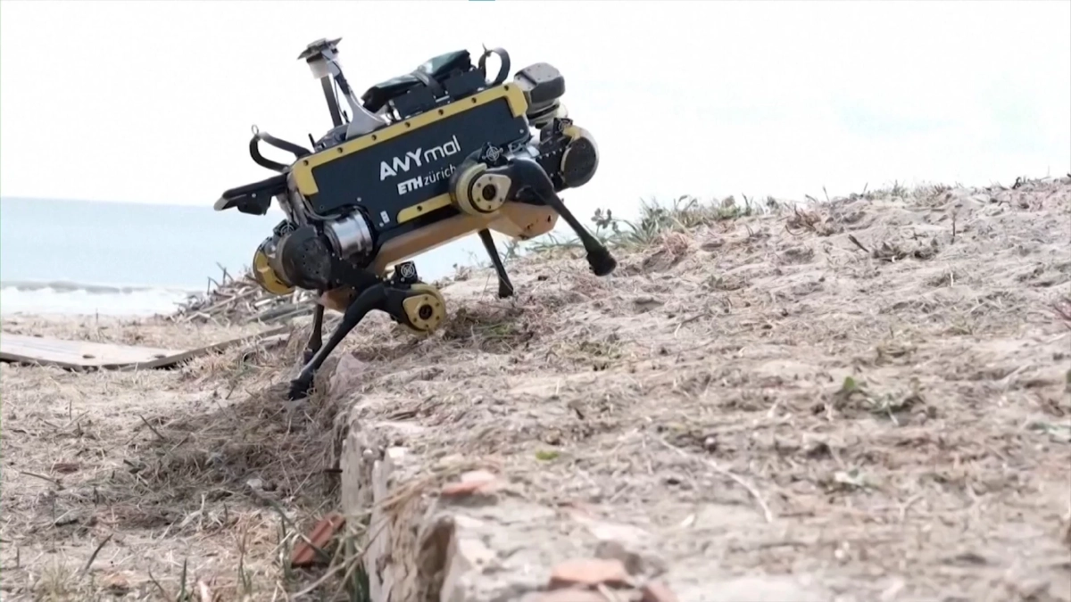 ยุโรปใช้ 'สุนัขหุ่นยนต์' สำรวจและปกป้องพื้นที่ป่าไม้ให้ยั่งยืน