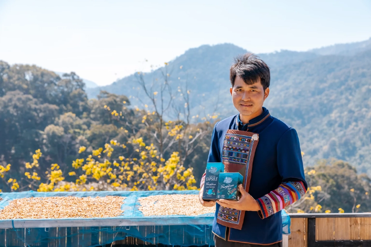 ส่องโมเดลกาแฟยั่งยืน ‘ปางขอน–ผาลั้ง’ จากดอยสู่เมือง สร้างอาชีพให้คนรุ่นใหม่