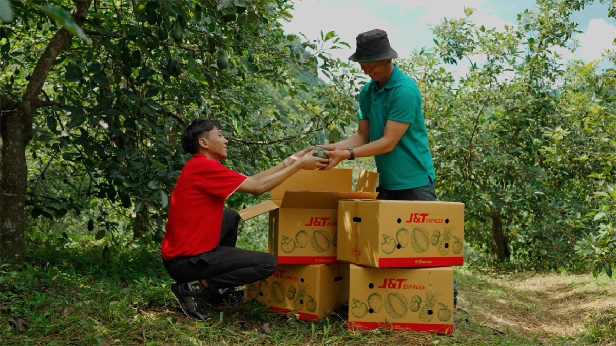 เร่งพัฒนาโลจิสติกส์บูม ‘สินค้าเกษตรไทย’ ตรงจากสวนถึงผู้บริโภค หนุนเศรษฐกิจ