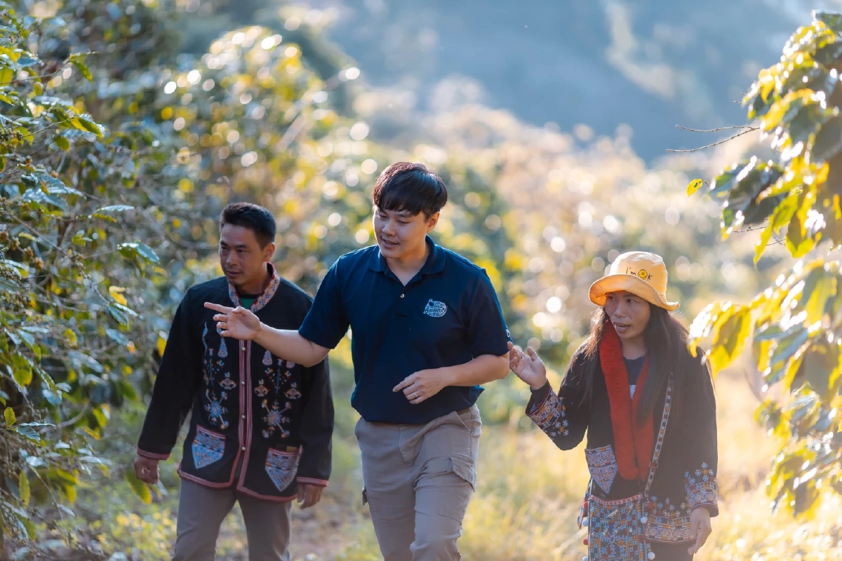 ส่องโมเดลกาแฟยั่งยืน ‘ปางขอน–ผาลั้ง’ จากดอยสู่เมือง สร้างอาชีพให้คนรุ่นใหม่