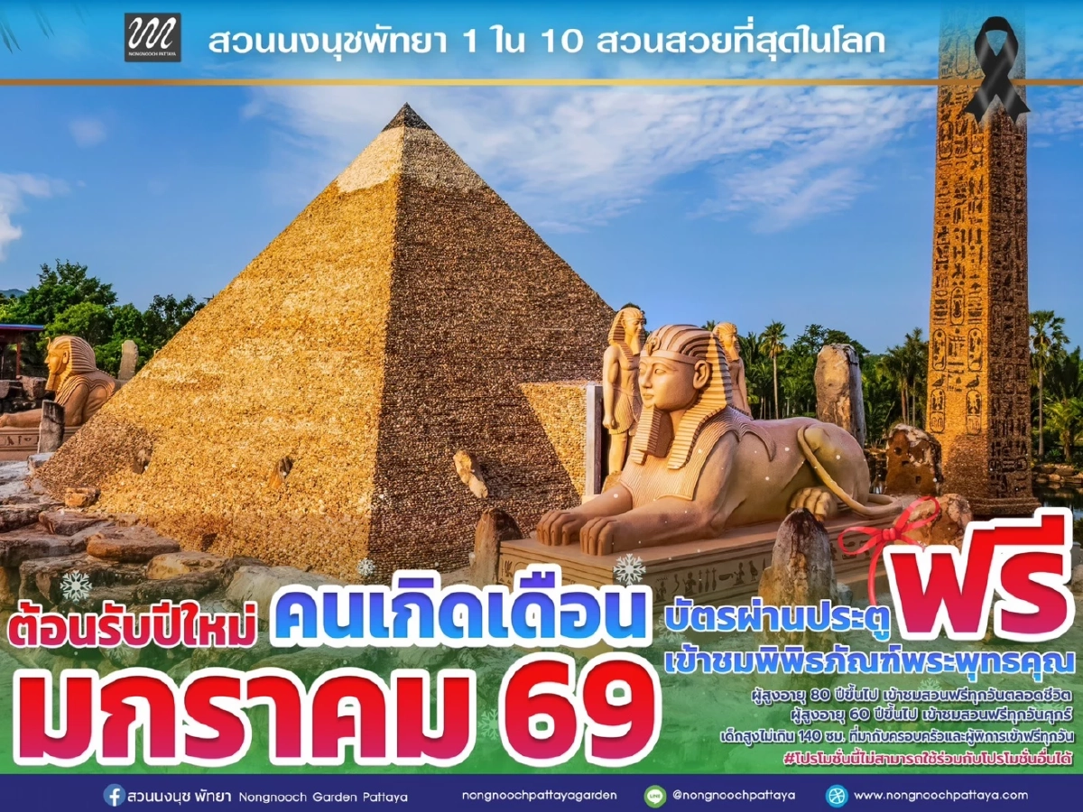 สวนนงนุชพัทยา มอบของขวัญปีใหม่ 2569 ชวนสัมผัสทะเลดอกไม้บานสะพรั่งทั่วทั้งสวน