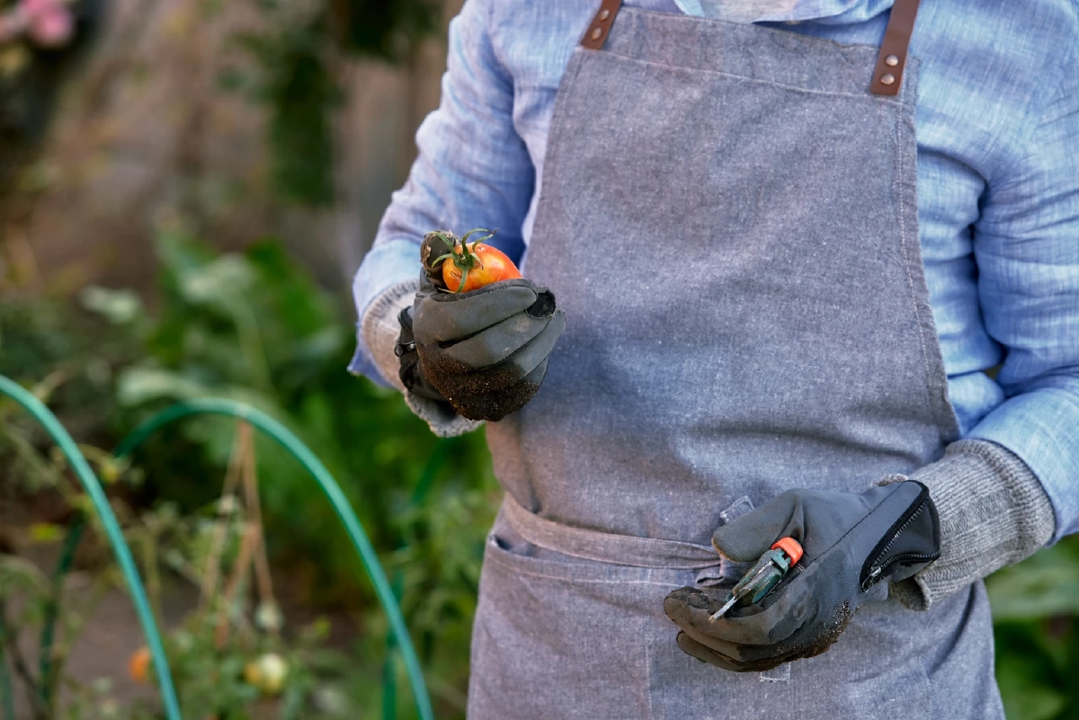 กลโกง 'ชวนทำงานออสเตรเลีย' ระบาดหนัก แนะแรงงานใช้แอป Thai Consular