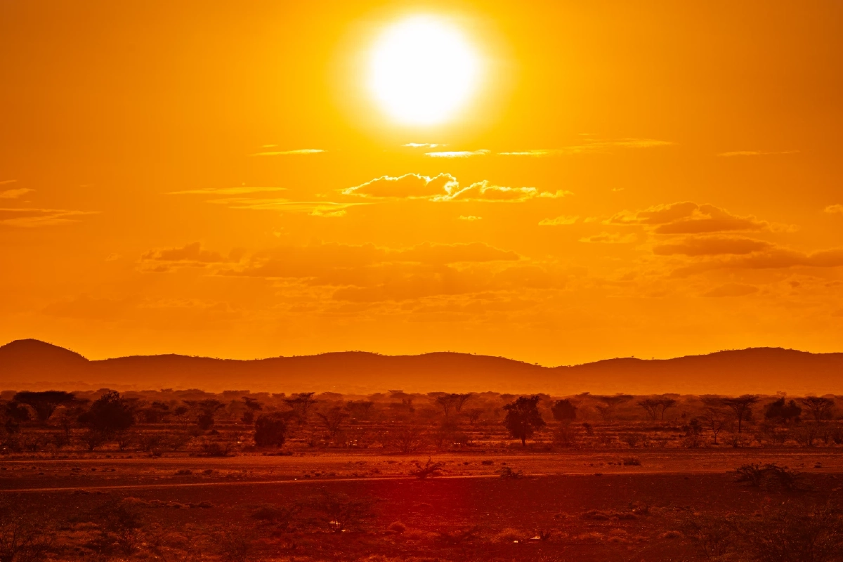 ออสเตรเลียร้อนแตะ 48.9 องศาเซลเซียส ทุบสถิติร้อนสุดในประวัติศาสตร์