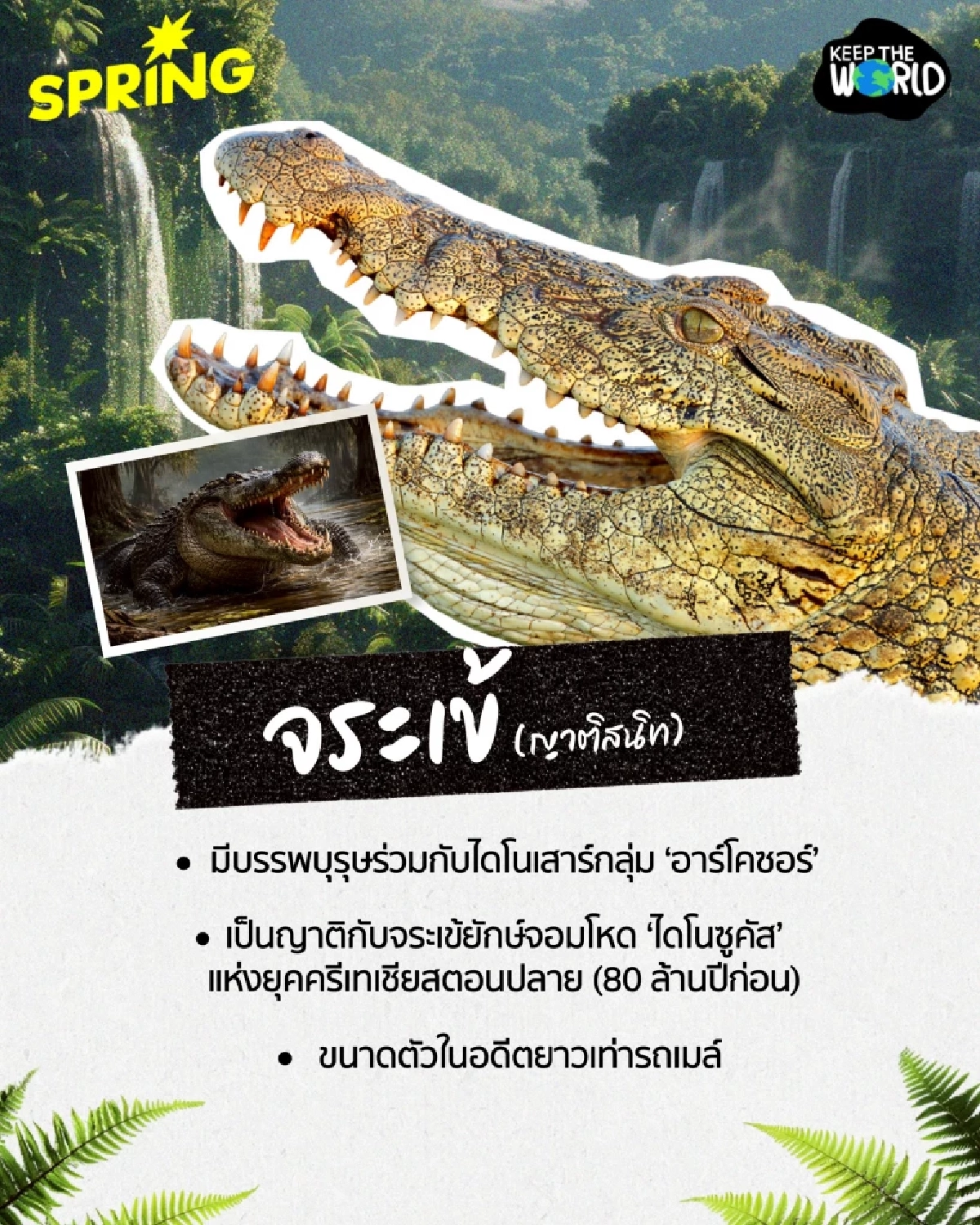 ฝันเลี้ยงไดโนเสาร์ยังไม่สลาย! รวม 6 สัตว์ยุคดึกดำบรรพ์ที่ยังมีชีวิตอยู่