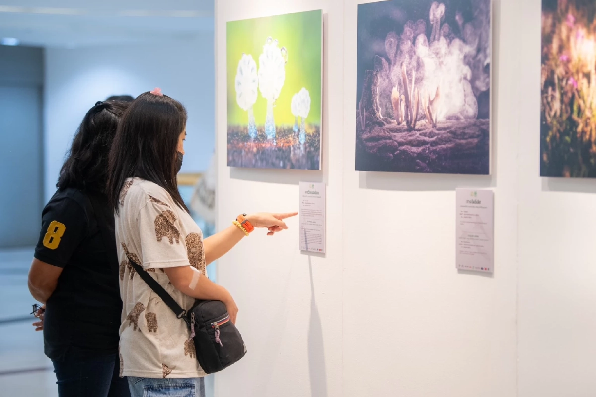 ทส. ผนึกเครือซีพี มอบรางวัลภาพถ่าย "สัตว์มีค่า ป่ามีคุณ" ปลุกสำนึกอนุรักษ์ธรรมชาติ