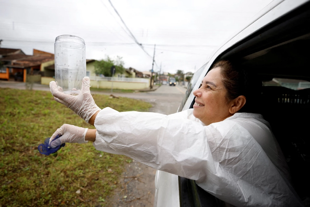 ป่าหาย ยุงเปลี่ยนเป้า! ชี้ยุงหันมาดูดเลือดคนมากขึ้นหลังพื้นที่ป่าลด เสี่ยงโรคระบาดพุ่ง Credit ภาพ REUTERS  