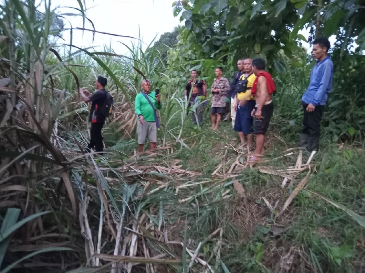 ประชาสัมพันธ์ กรมอุทยานแห่งชาติ สัตว์ป่า และพันธุ์พืช