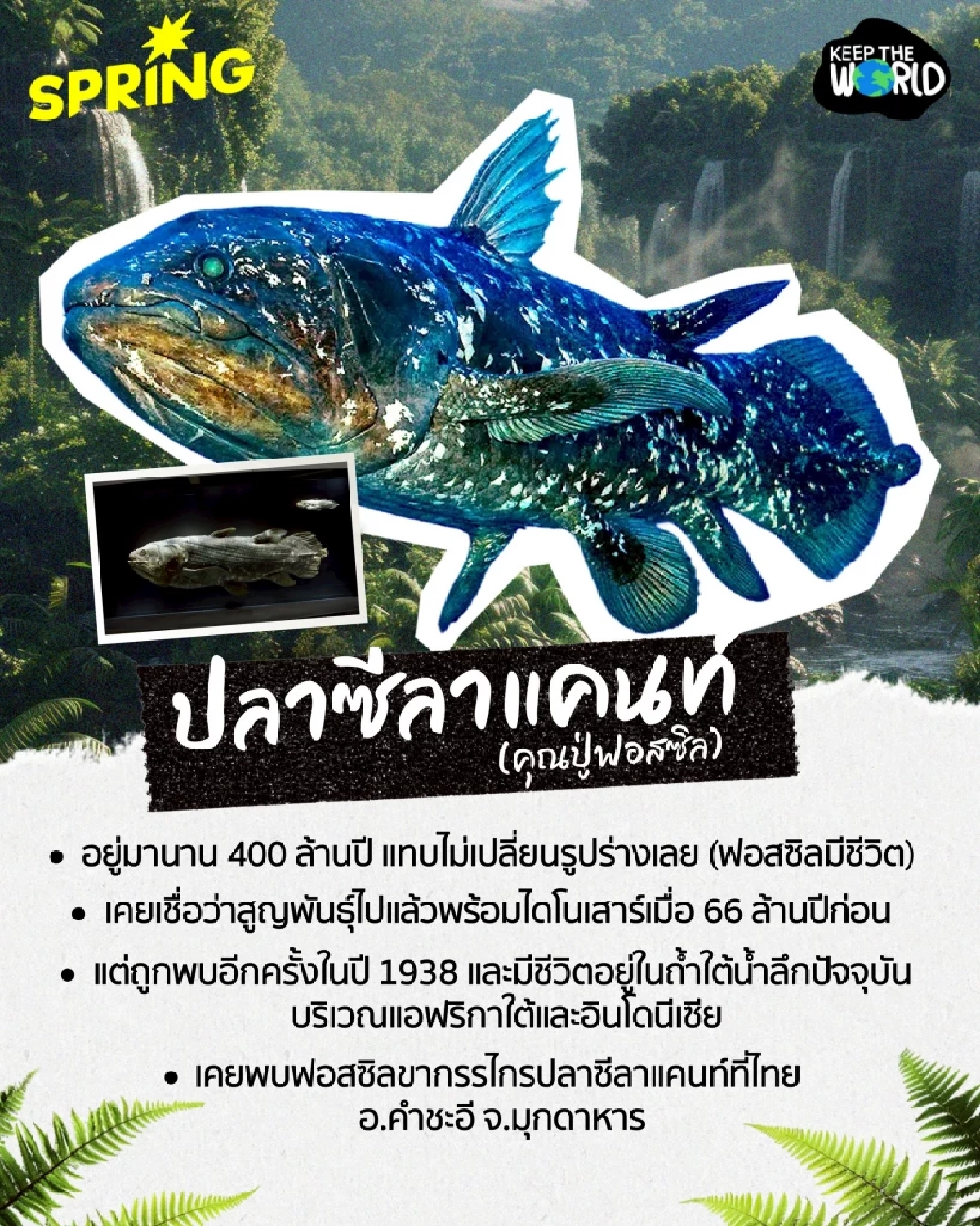 ฝันเลี้ยงไดโนเสาร์ยังไม่สลาย! รวม 6 สัตว์ยุคดึกดำบรรพ์ที่ยังมีชีวิตอยู่