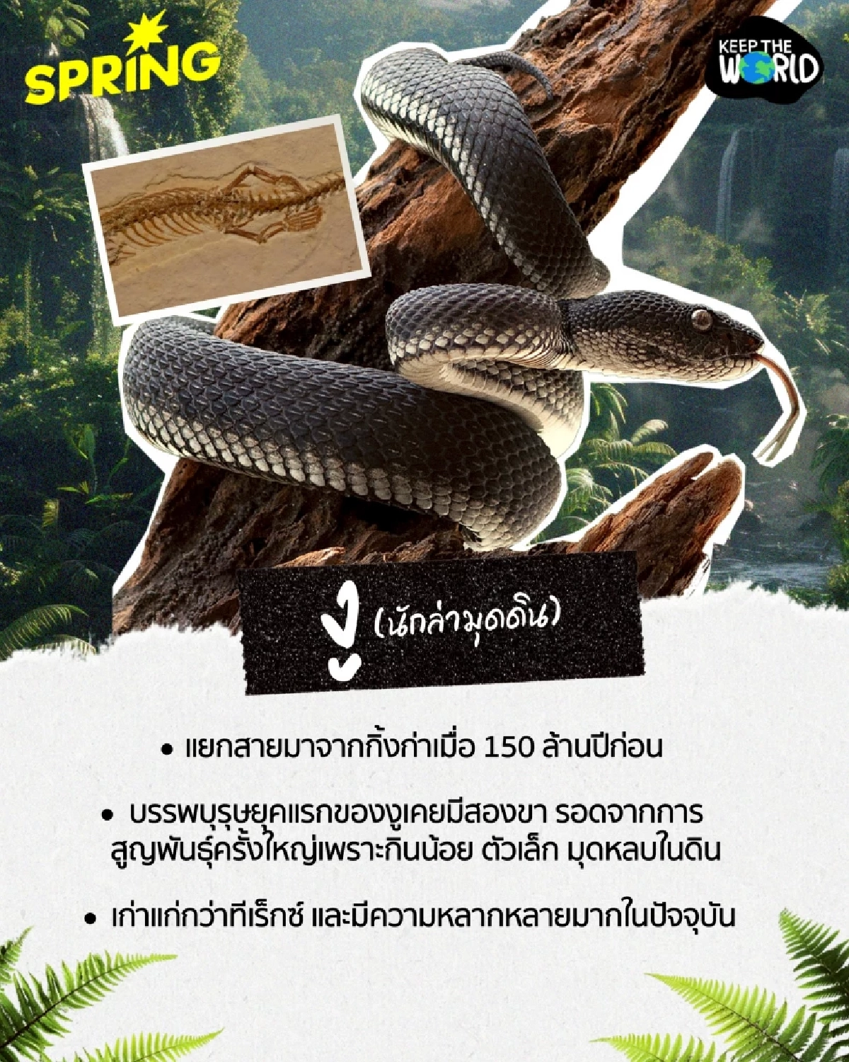 ฝันเลี้ยงไดโนเสาร์ยังไม่สลาย! รวม 6 สัตว์ยุคดึกดำบรรพ์ที่ยังมีชีวิตอยู่