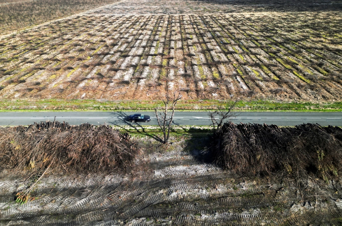 ที่มา: Reuters