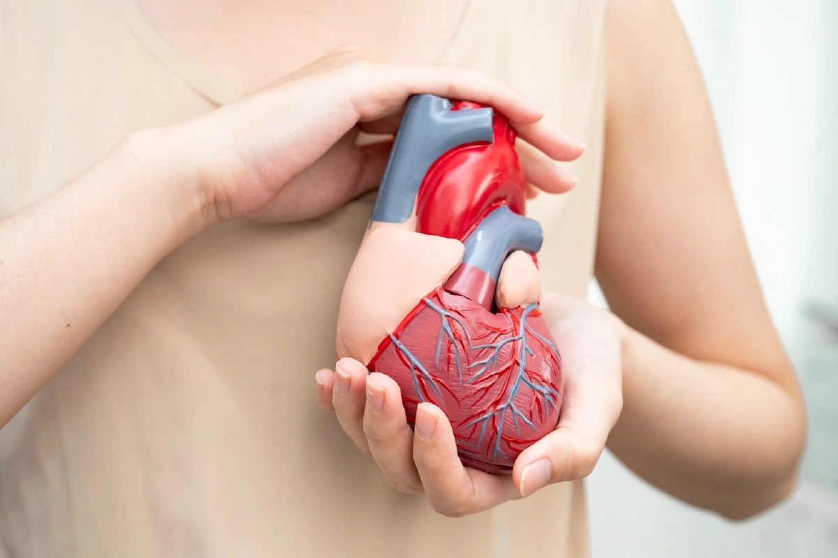 เหนื่อยง่าย นอนหงายอึดอัด อาจเสี่ยง ‘โรคลิ้นหัวใจ’คนมักรู้ตัวช้า โรคก็อาการรุนแรงแล้ว