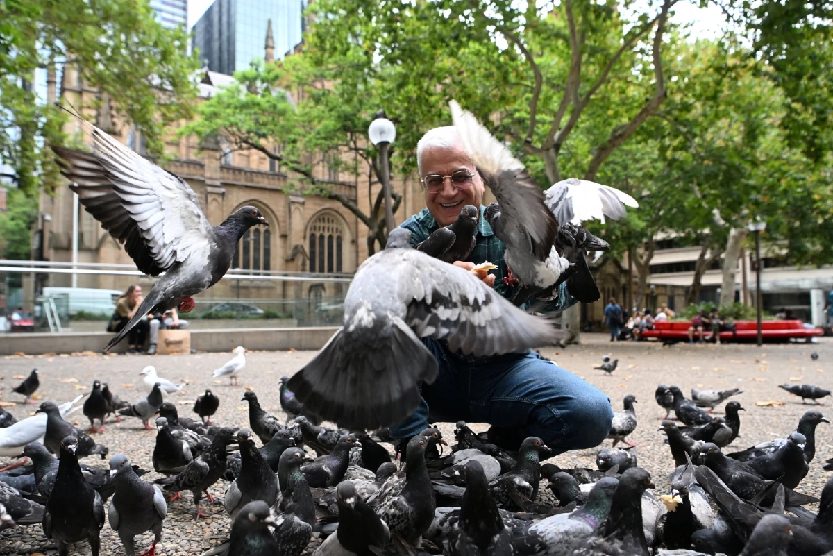 สตาร์ทอัพรัสเซีย 'แฮ็ก' สมองนกพิราบ เปลี่ยนเป็นโดรนมีชีวิต