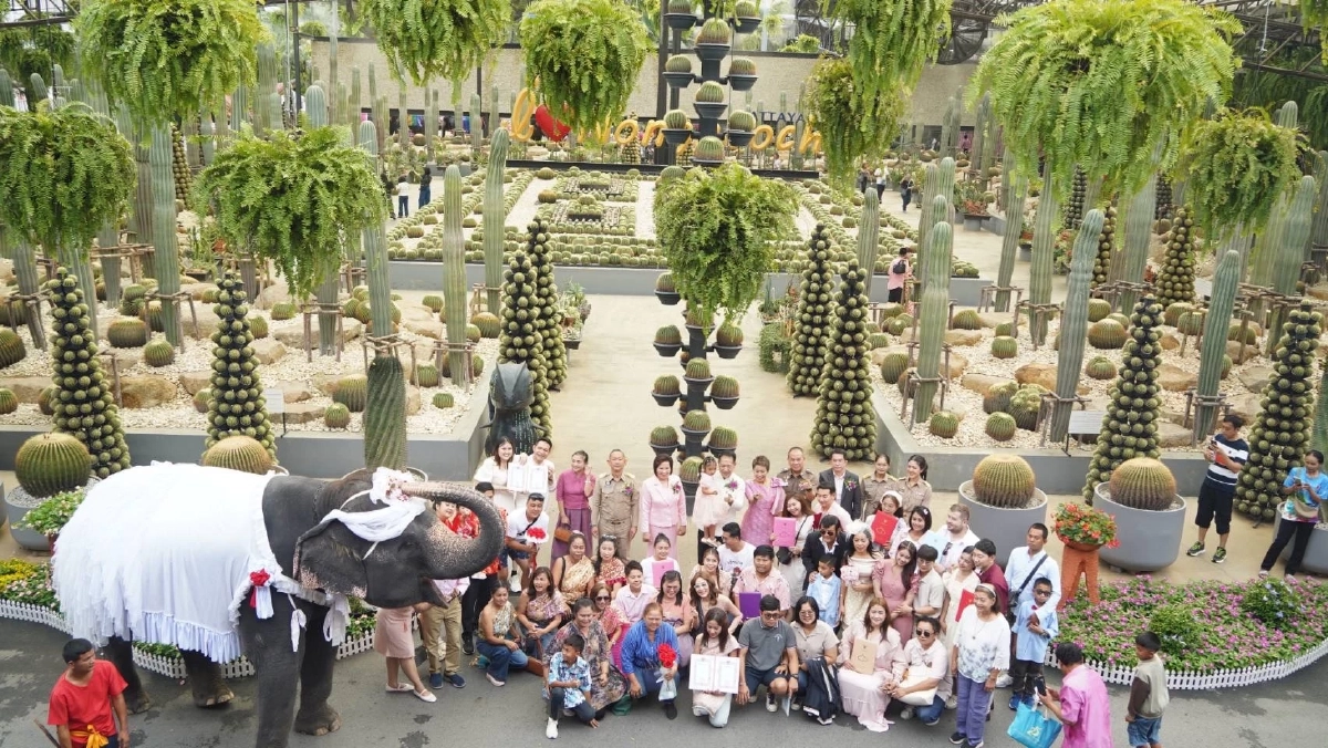 วาเลนไทน์ 2569 ‘จดทะเบียนสมรสบนหลังช้าง’ ที่สวนนงนุช ชูไทยสู่สายตานานาชาติ