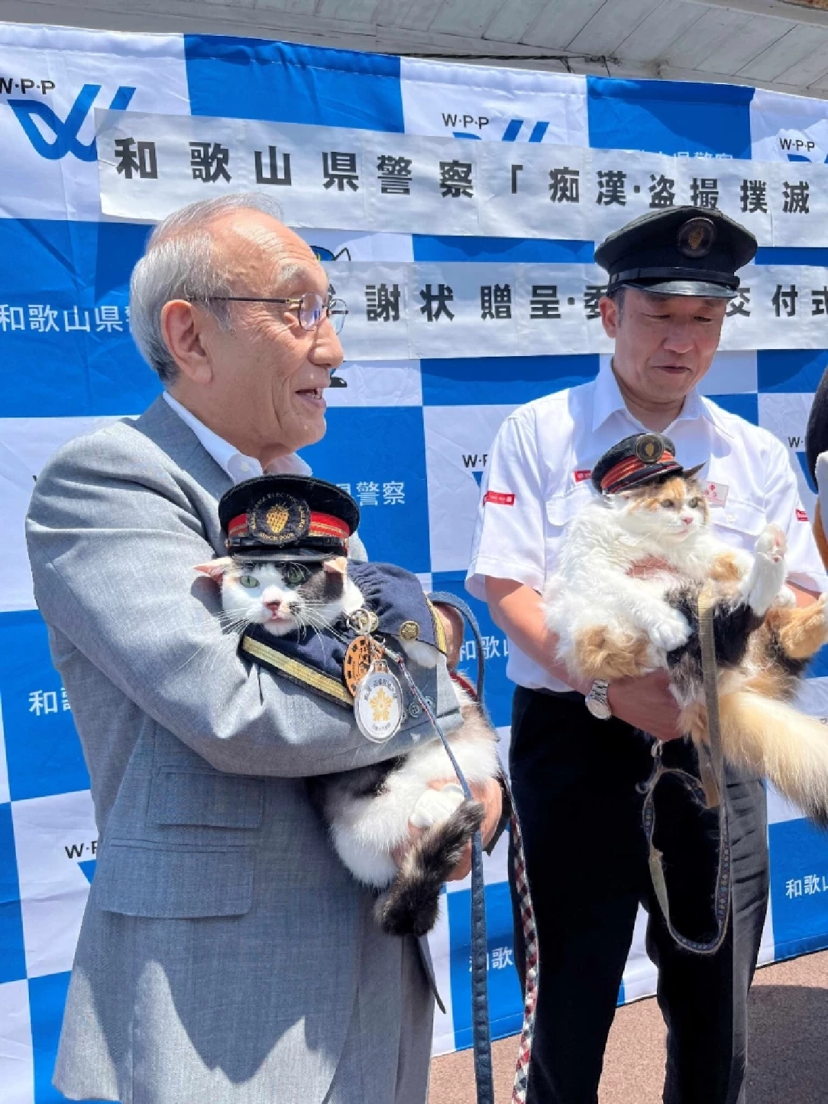 ทามะ(ซ้าย) กับ นิทามะ (ขวา) Cr. Wakayama Electric Railway