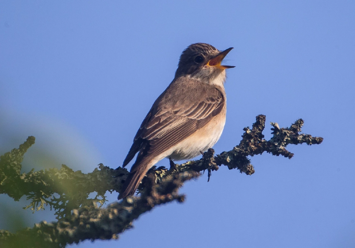 ที่มา: Reuters
