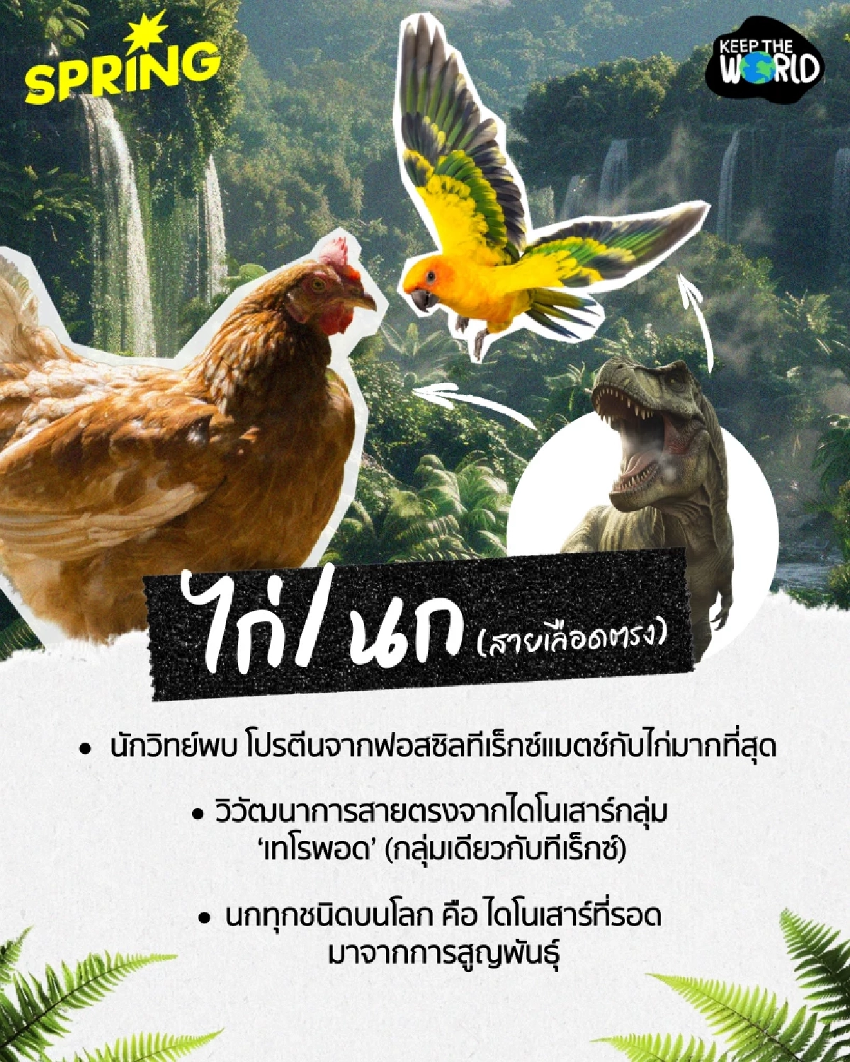 ฝันเลี้ยงไดโนเสาร์ยังไม่สลาย! รวม 6 สัตว์ยุคดึกดำบรรพ์ที่ยังมีชีวิตอยู่