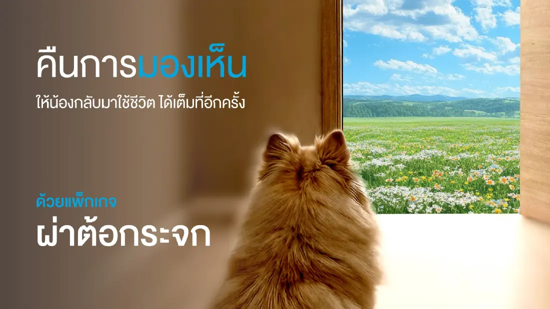 คืนการมองเห็นให้ ‘สัตว์เลี้ยงสูงวัย’ ด้วยเทคโนโลยีสลายต้อกระจก PHAECO