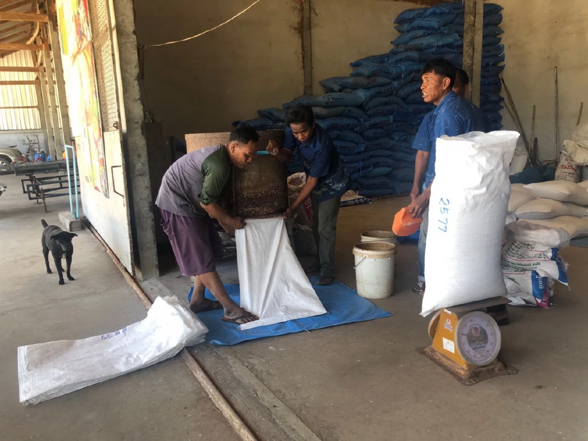 กรมส่งเสริมการเกษตร 'ชวนใช้ปุ๋ย 4 ถูก' เสริมประสิทธิภาพ ลดผลกระทบราคาปุ๋ย