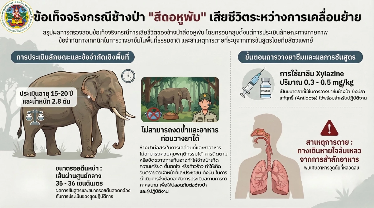 ผลสอบชี้เจ้าหน้าที่ยิงยาสลบ 'สีดอหูพับ' ไม่ประมาทเลินเล่อ