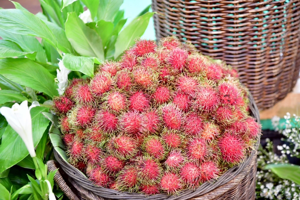 กรมส่งเสริมสหกรณ์ งัด 4 มาตรการดันสินค้า GI รุกห้างใหญ่ สร้างราคา เพิ่มมูลค่า