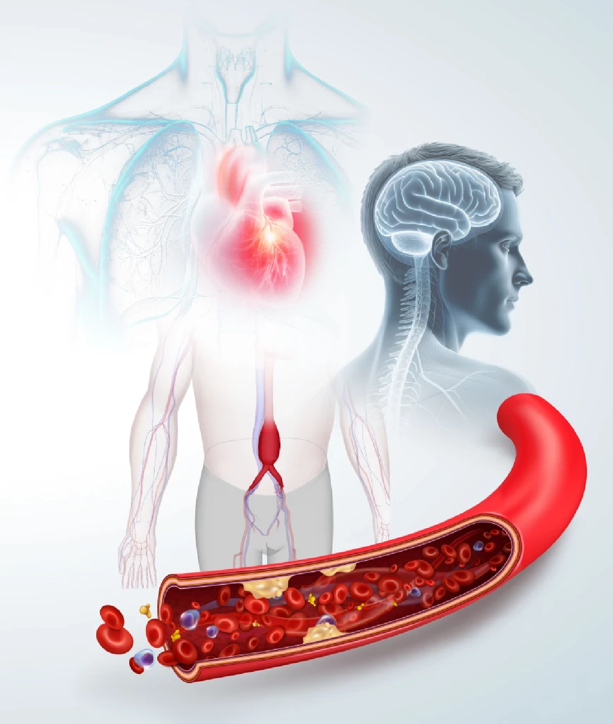 เมดพาร์ค ชวนรู้ทัน ‘ภาวะเสียชีวิตกะทันหัน’ เจาะลึกความเสี่ยงจากหัวใจ สมอง และการนอนหลับ