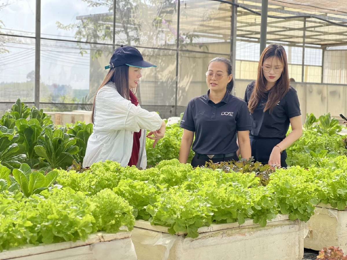 กรมส่งเสริมการเกษตร เฟ้นหานวัตกรรมจากเจ้าหน้าที่ ยกระดับงานส่งเสริมเกษตรไทย