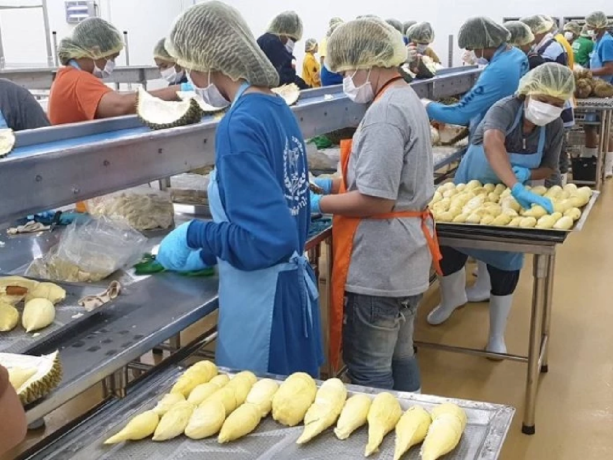 กรมส่งเสริมสหกรณ์ งัด 4 มาตรการดันสินค้า GI รุกห้างใหญ่ สร้างราคา เพิ่มมูลค่า