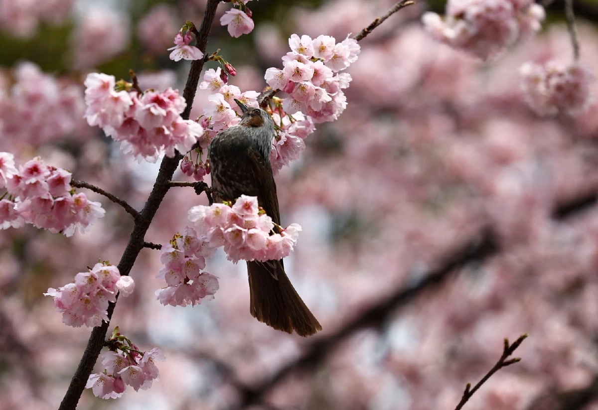 ที่มา: Reuters