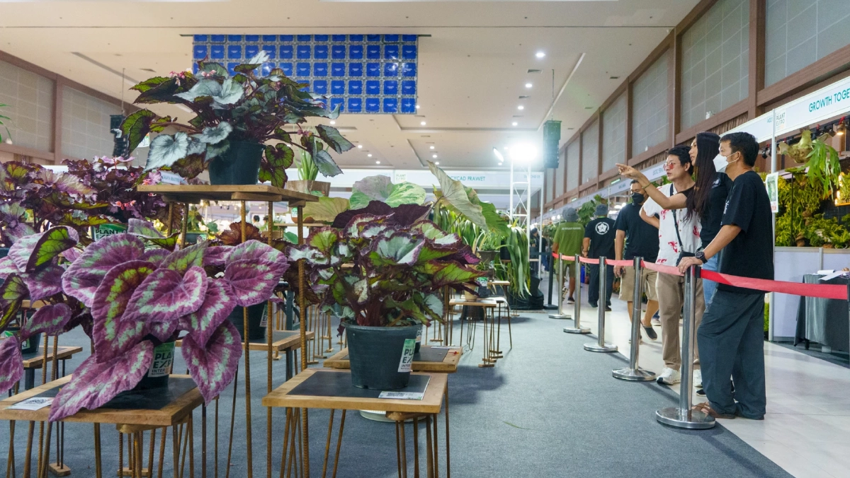 สวนนงนุช จัดมหกรรมพืชนานาชาติ คนรักต้นไม้ห้ามพลาด โอกาสสร้างมูลค่าระดับโลก