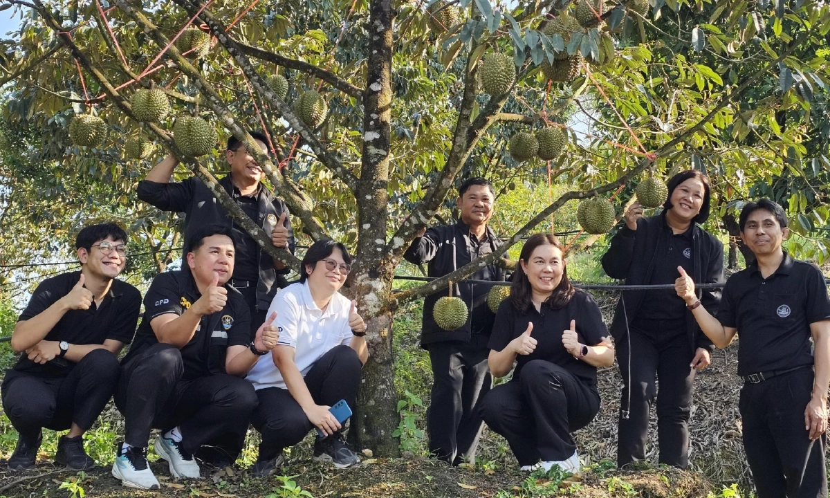 กรมส่งเสริมสหกรณ์ งัด 4 มาตรการดันสินค้า GI รุกห้างใหญ่ สร้างราคา เพิ่มมูลค่า