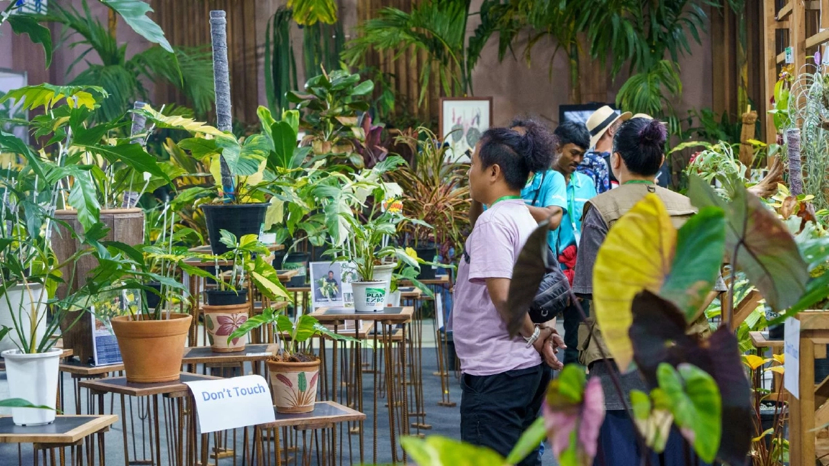 สวนนงนุช จัดมหกรรมพืชนานาชาติ คนรักต้นไม้ห้ามพลาด โอกาสสร้างมูลค่าระดับโลก