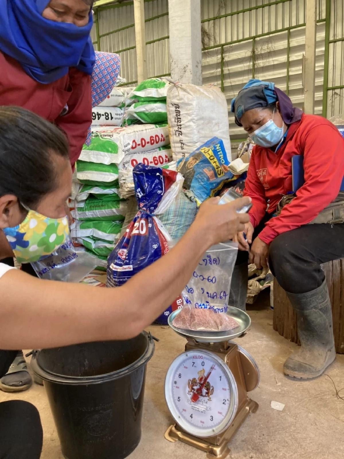 กรมส่งเสริมการเกษตร 'ชวนใช้ปุ๋ย 4 ถูก' เสริมประสิทธิภาพ ลดผลกระทบราคาปุ๋ย