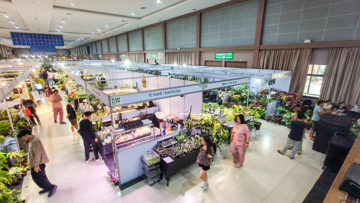 สวนนงนุช จัดมหกรรมพืชนานาชาติ คนรักต้นไม้ห้ามพลาด โอกาสสร้างมูลค่าระดับโลก
