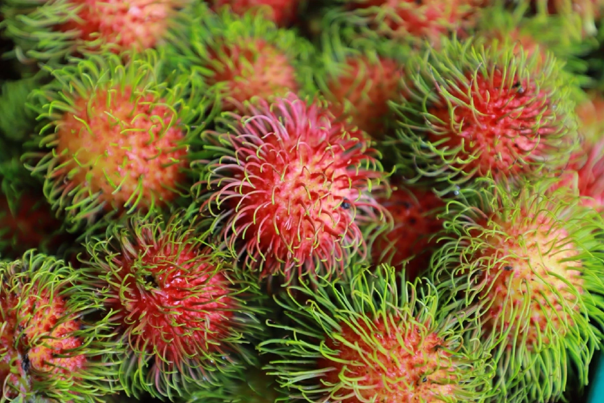 เกษตรชวนคนไทยอุดหนุน 'ผลไม้ตะวันออก' คุณภาพดี เชื่อถือได้