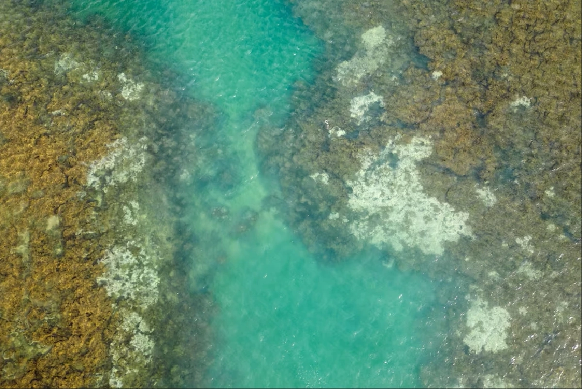 ‘ซูเปอร์เอลนีโญ’ อาจทำปี 69-70 ร้อนจัดทุบสถิติ ไทยเสี่ยง 1 ในจุดเปราะบาง