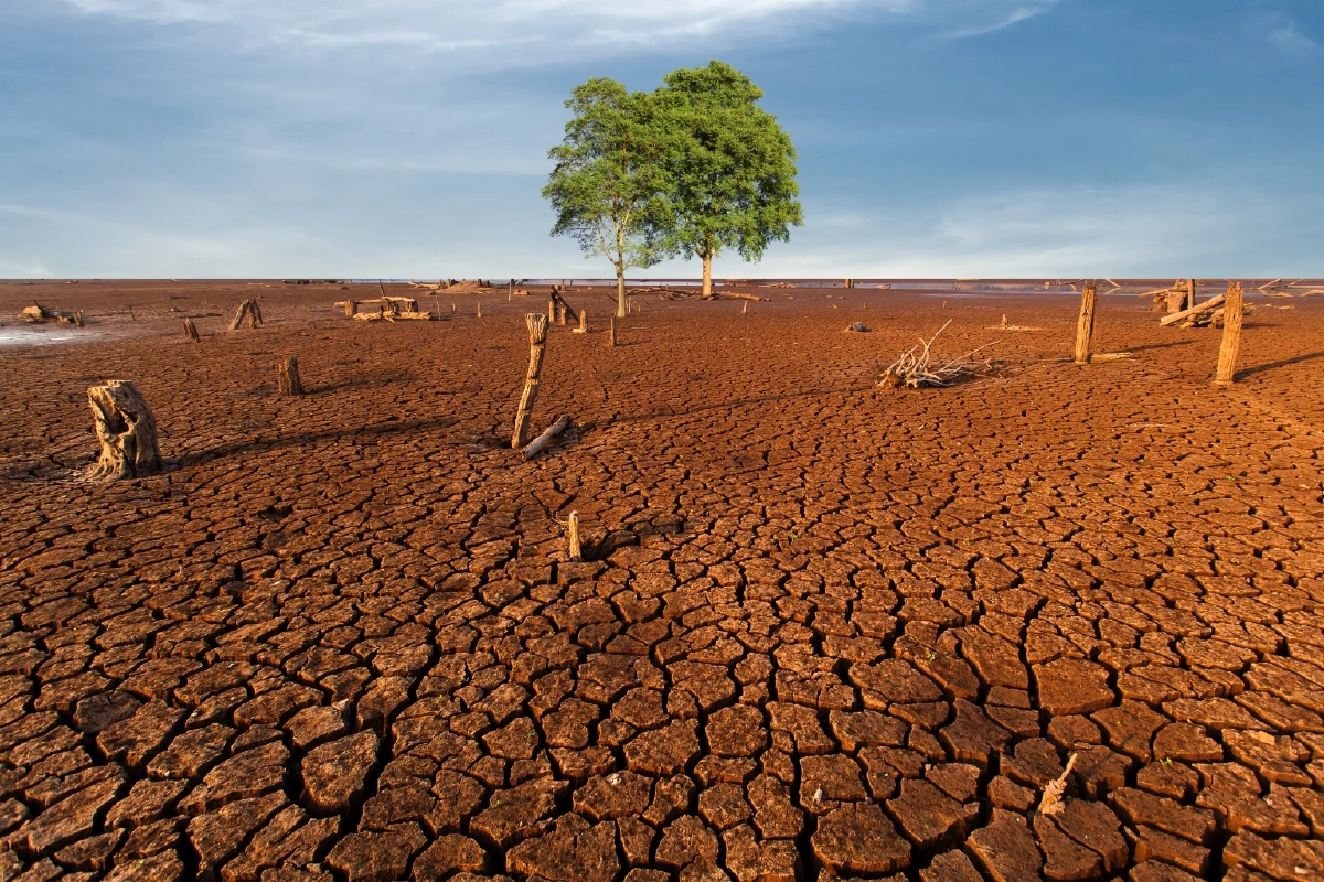 ‘ซูเปอร์เอลนีโญ’ อาจทำปี 69-70 ร้อนจัดทุบสถิติ ไทยเสี่ยง 1 ในจุดเปราะบาง