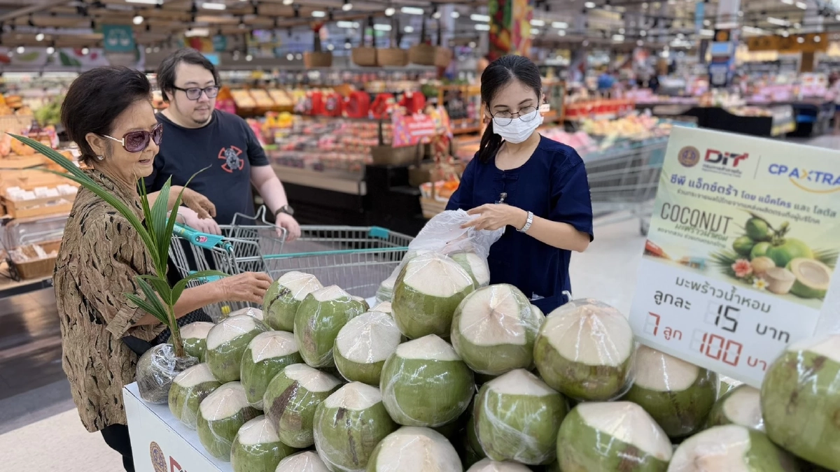 “แม็คโคร–โลตัส” กระจายมะพร้าวน้ำหอมคุณภาพจากสวนสู่ผู้บริโภค