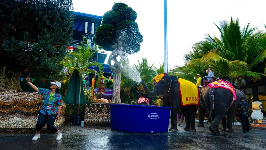 สวนนงนุชพัทยา จัดใหญ่ “มหาสงกรานต์ดอกไม้บาน” ต้อนรับสงกรานต์ 2569