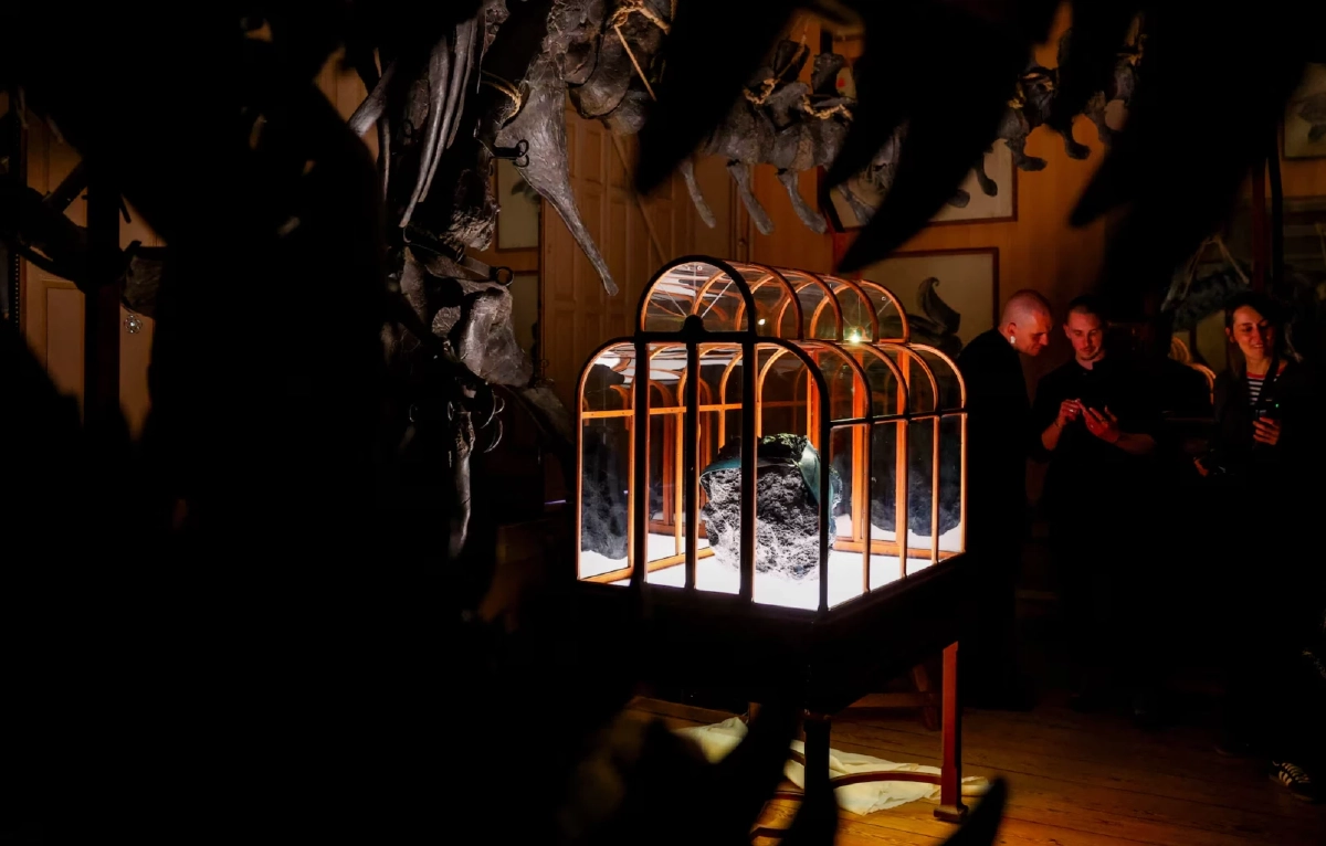 เปิดตัวกระเป๋าหนังจากคอลลาเจนฟอสซิล "ทีเร็กซ์" ไร้พลาสติก เตรียมประมูลกว่า 16.3 ล้านบาท ท่ามกลางข้อสงสัยว่านี่คือหนังไดโนเสาร์แท้หรือไม่ ? Credit ภาพ REUTERS 