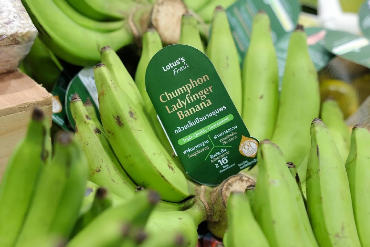 'แม็คโคร-โลตัส' ภายใต้ซีพี แอ็กซ์ตร้า จับมือกรมทรัพย์สินฯ ชูสินค้า GI ไทยสู่เบอร์ 1