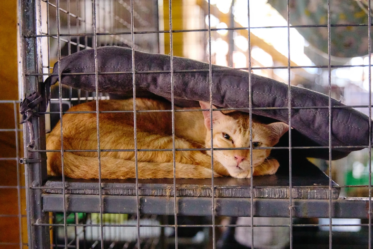 จาก 'เรือนกระจกโลกร้อน' ถึง 'พลาสติกทำลายโลก' แคมเปญ Epson ที่วัดผลได้จริง