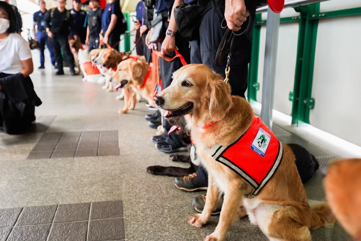 บีทีเอสเปิดสถานีรับทีม K9 USAR Thailand ฝึกเคลื่อนย้ายกำลังพล