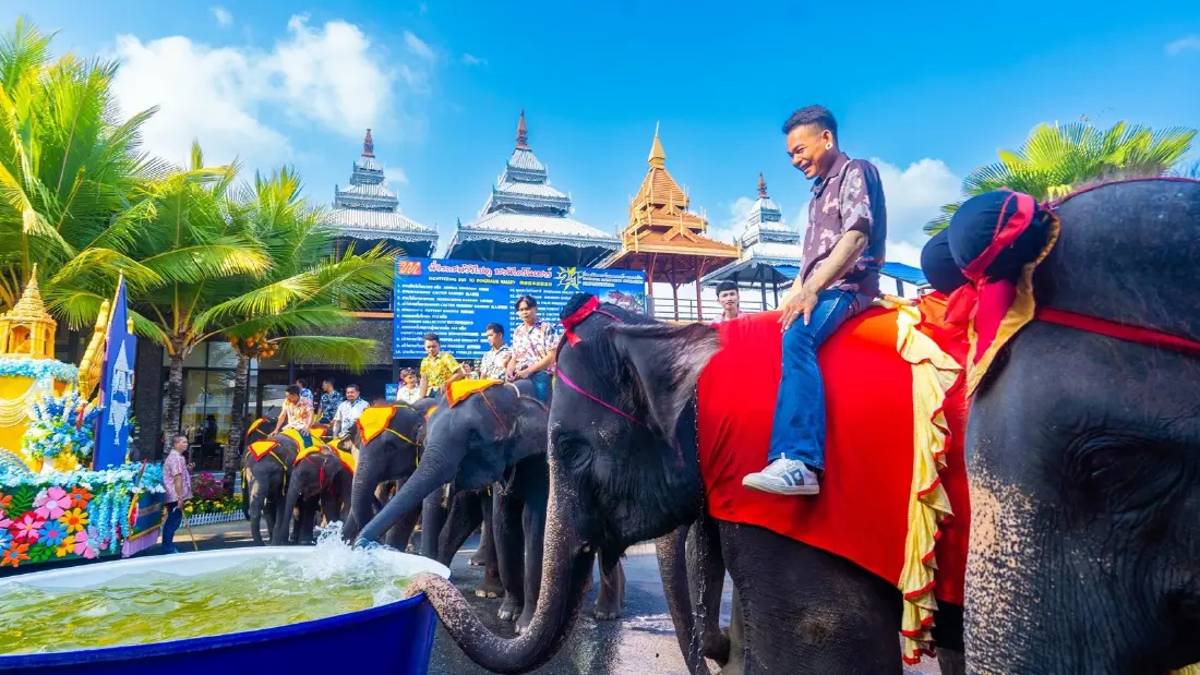 สวนนงนุชพัทยา จัดใหญ่ “มหาสงกรานต์ดอกไม้บาน” ต้อนรับสงกรานต์ 2569
