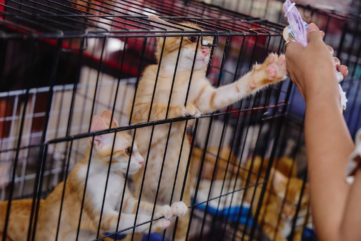 จาก 'เรือนกระจกโลกร้อน' ถึง 'พลาสติกทำลายโลก' แคมเปญ Epson ที่วัดผลได้จริง