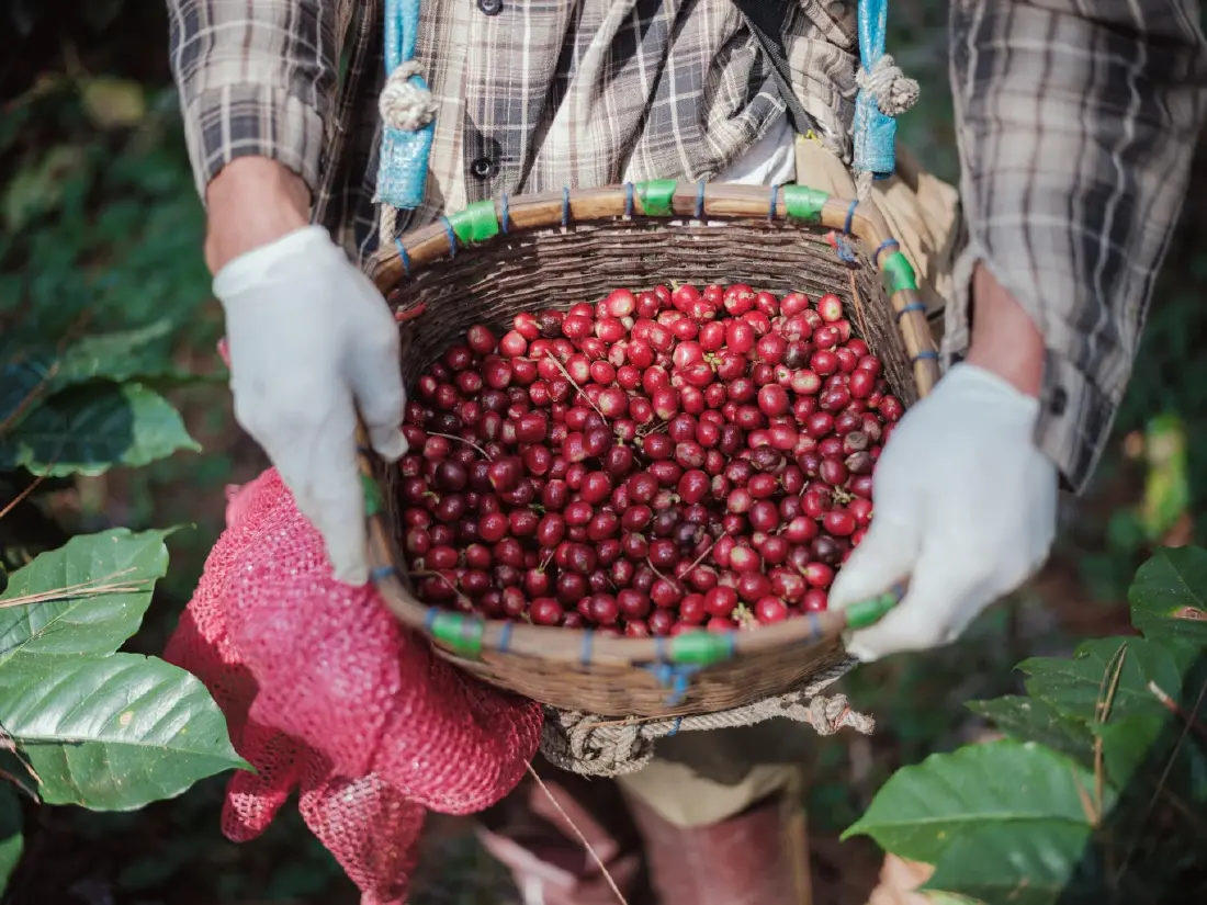 ส่องภาคธุรกิจไทย ลุยช่วย ‘ โลกป่วยสาหัส’ รับ ‘22 เม.ย.วันคุ้มครองโลก’