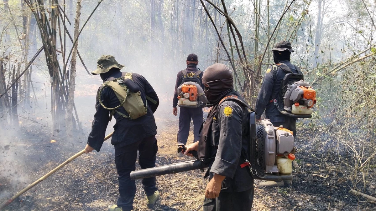 ฝุ่นยังคลุมเหนือ ไฟป่ายังปะทุ ทำความรู้จัก 'เผาควบคุม' เครื่องมือที่รัฐใช้สกัดไฟใหญ่